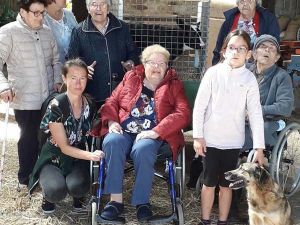 Sortie à la ferme