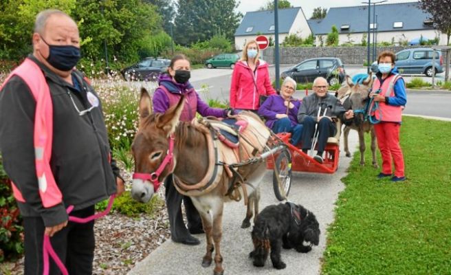 Balade en calèche pour les résidents de l'EHPAD